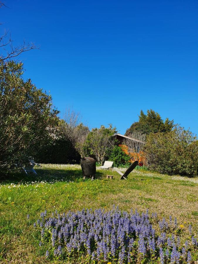 La Cabane Du Pesquier En Provence Caumont-sur-Durance Bagian luar foto
